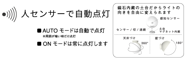 WSL001