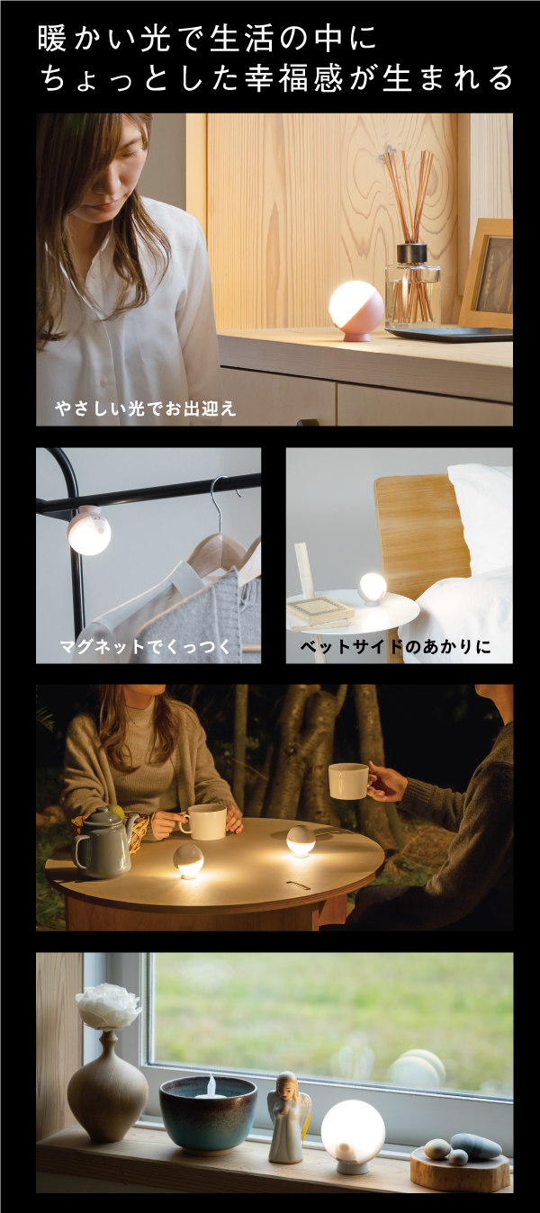 WSL001